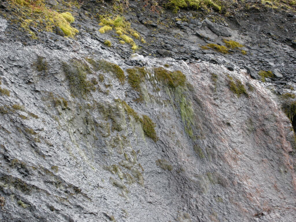 Faxasund Gebiet