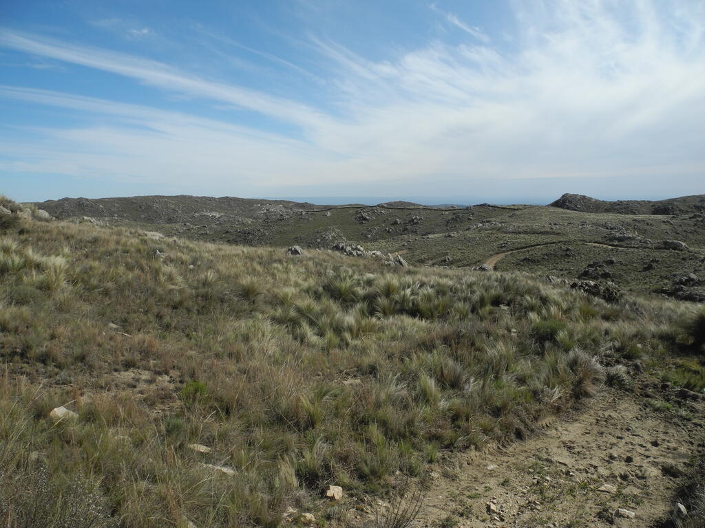 Landschaft an der RPS504 zwischen Pampa de Oláen und Candelaria