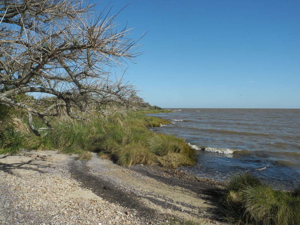 Die Küste an der Punta Espinillo