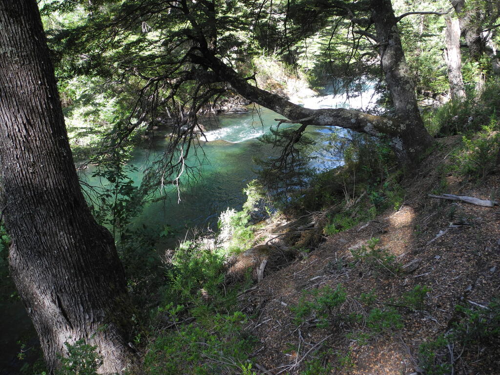 Cascada Los Alerces