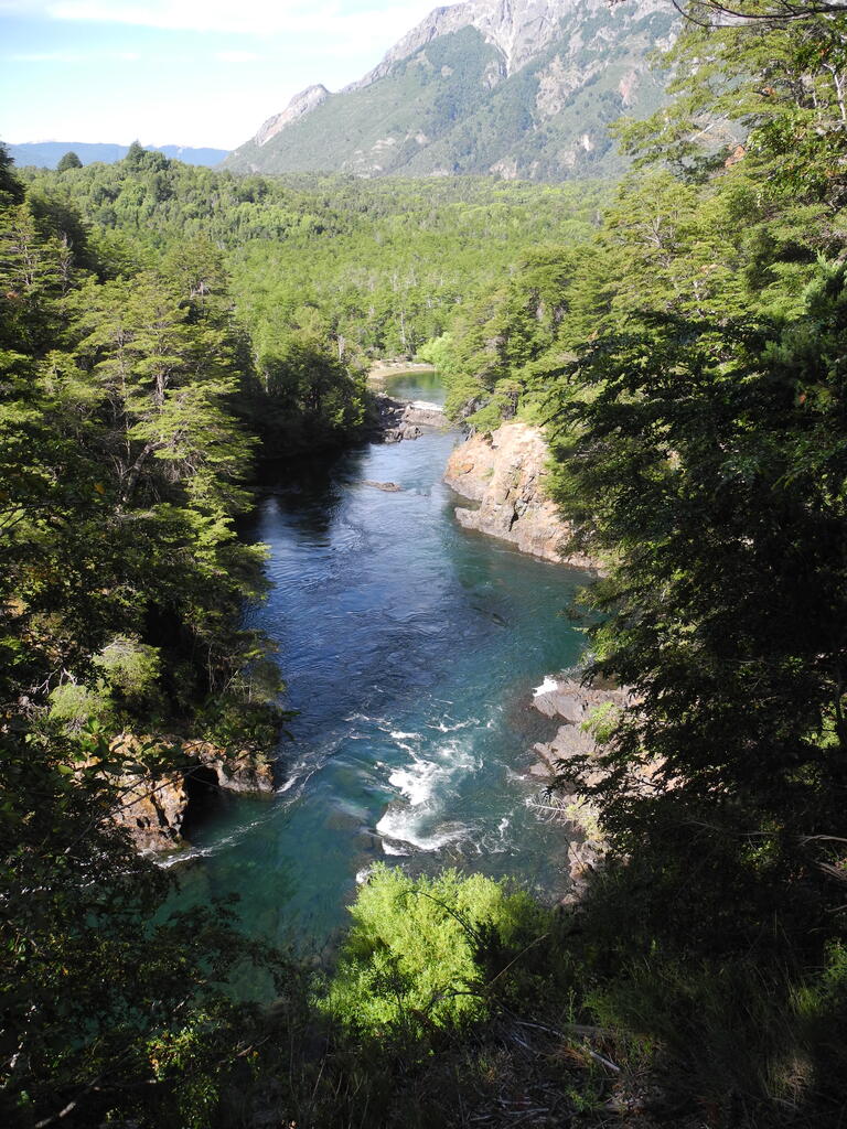 Cascada Los Alerces