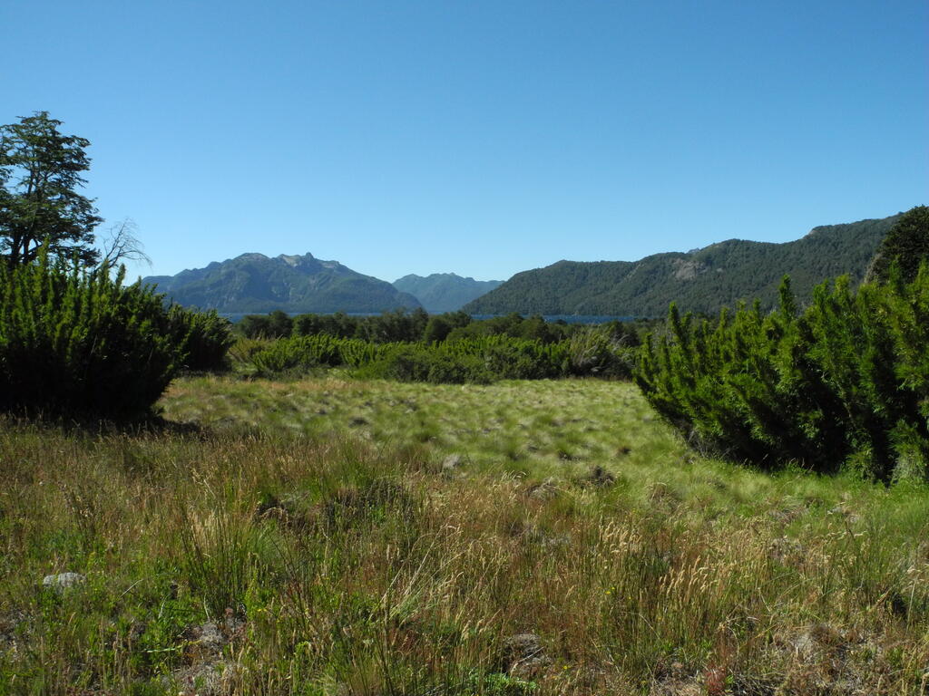 Blick auf den Lago Tromen