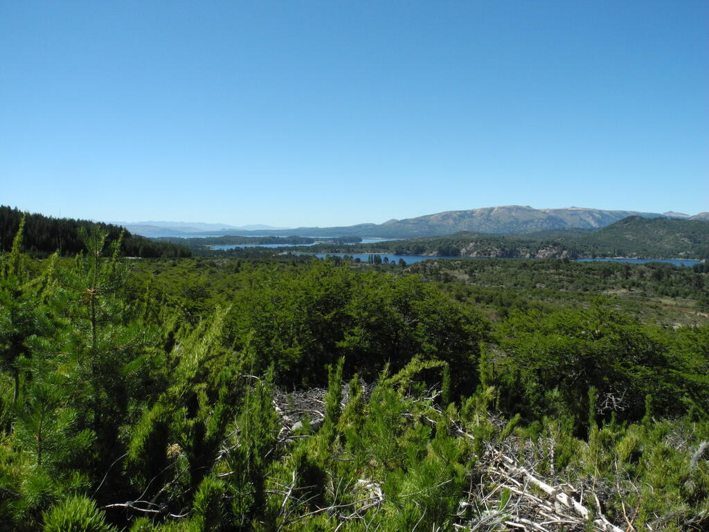 Lago Aluminé
