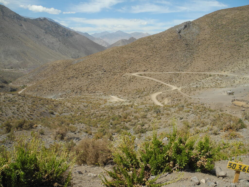 Das Tal zwischen Samo Alto und dem Pass nach Vicuña
