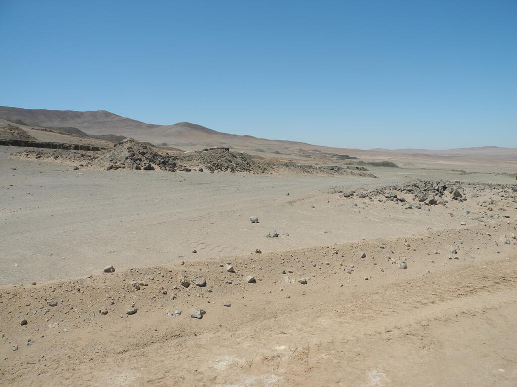 Mina El Jote