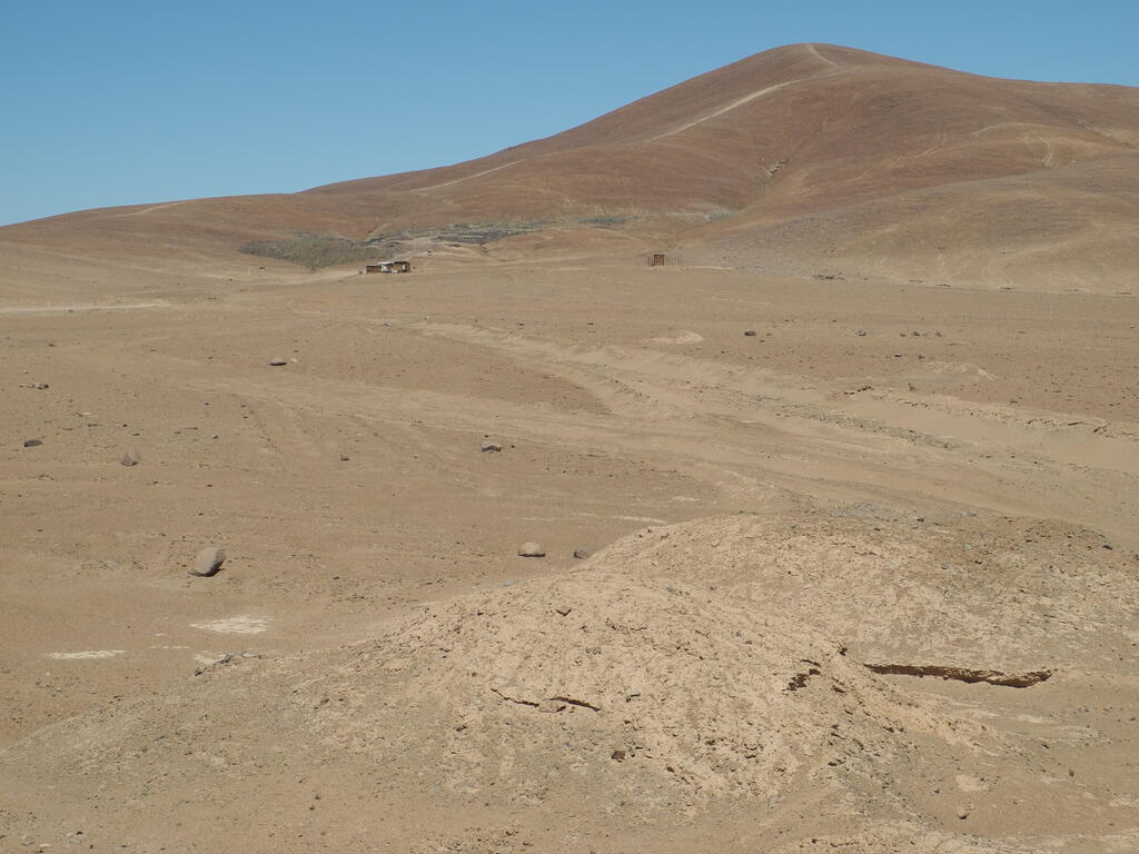 Mina Arenilla