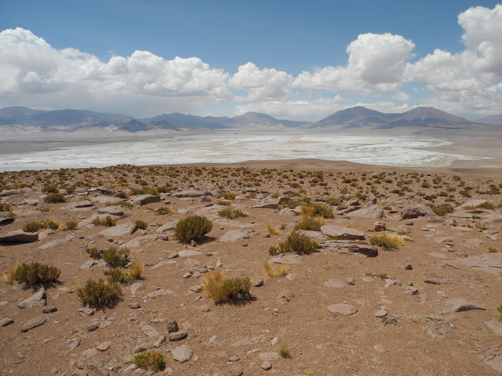 Salar de Huasco