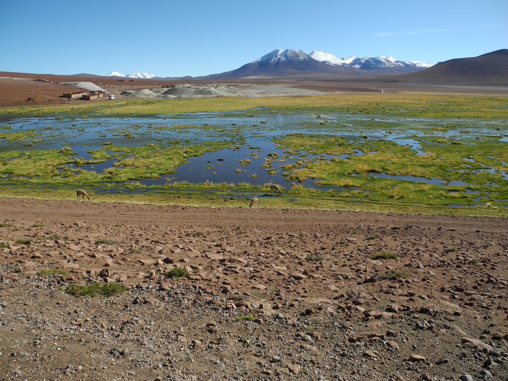 Vega de Putana